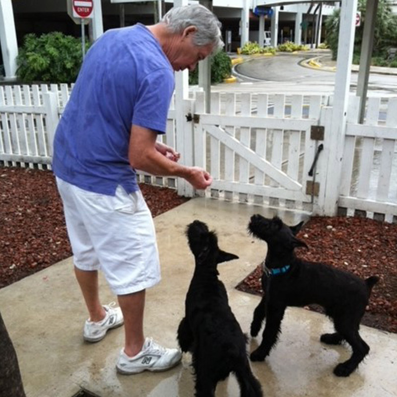 Paw Pad Ink Puppy - Dog Trainer Rob Private Lessons or Board and Train  Program.